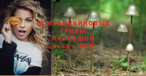 таблы Алексин