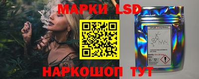 тгк Краснодар