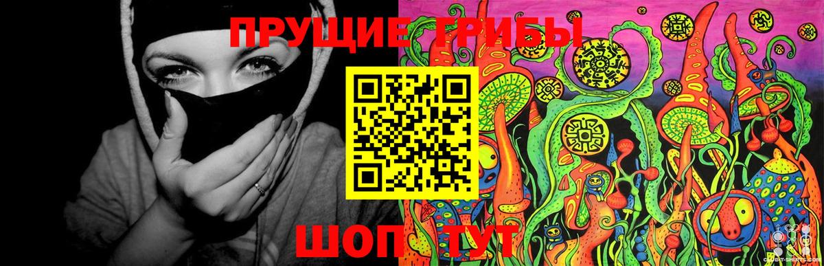 Клин  Псилоцибиновые грибы Psilocybe  Вход с VPN 